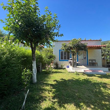 Elbasan Backpacker Hostel Exterior photo