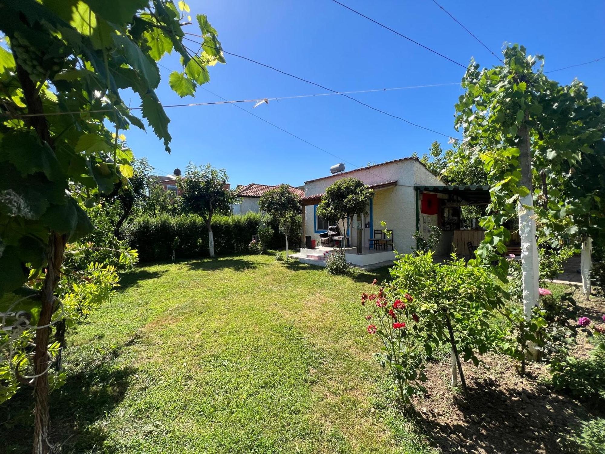 Elbasan Backpacker Hostel Exterior photo