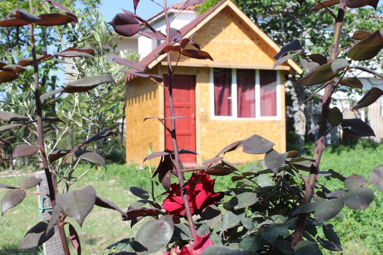 Elbasan Backpacker Hostel Exterior photo